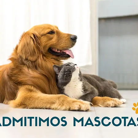 3000 Appartement Canfranc