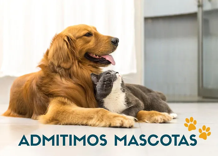 3000 Appartement Canfranc